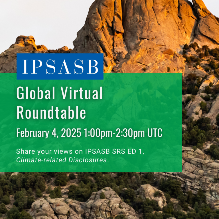 IPSASB Virtual Roundtable