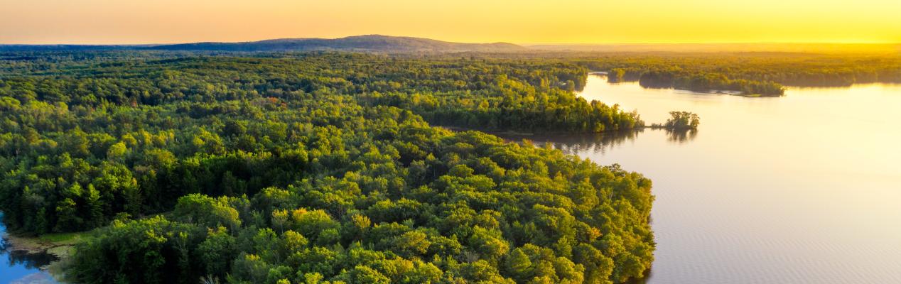 Top view of trees and body of water with sun setting 